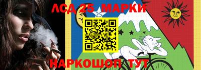 дмт Будённовск