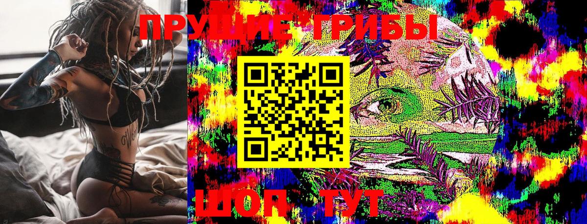 Ленинск-Кузнецкий  Псилоцибиновые грибы Psilocybine cubensis  Вход с VPN 
